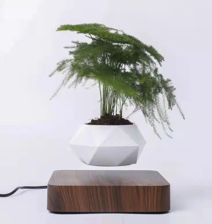 Levitating Flower Pot TrendoraXentrix