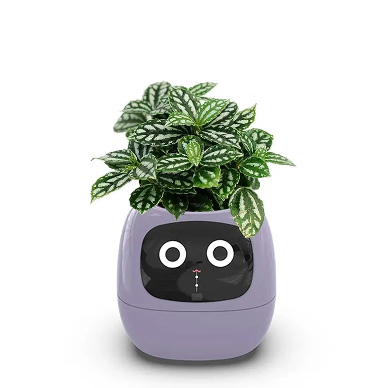 Smart Interactive Flower Pot with Plant Monitoring TrendoraXentrix