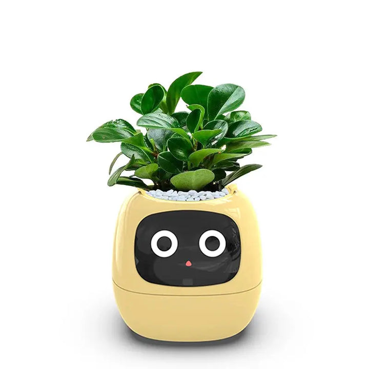 Smart Interactive Flower Pot with Plant Monitoring TrendoraXentrix