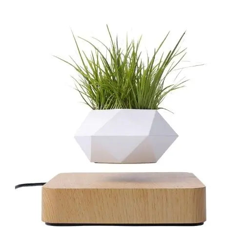Levitating Flower Pot TrendoraXentrix