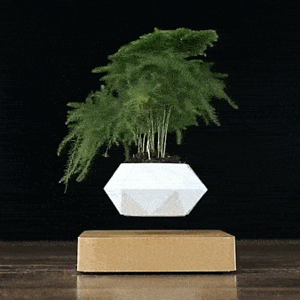 Levitating Flower Pot TrendoraXentrix