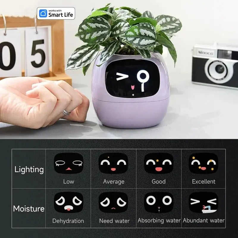 Smart Interactive Flower Pot with Plant Monitoring TrendoraXentrix