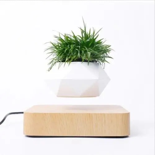Levitating Flower Pot TrendoraXentrix