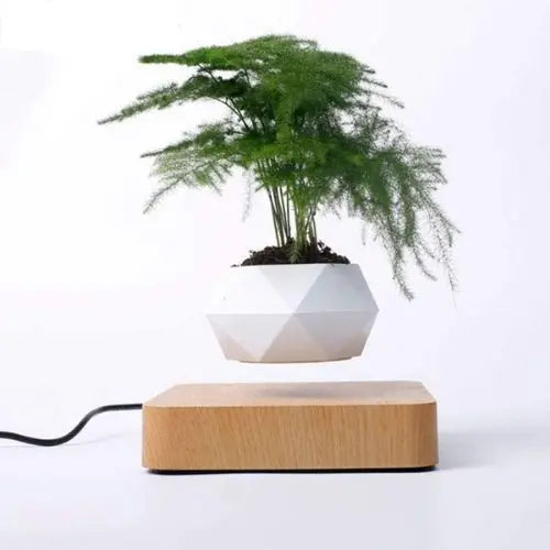 Levitating Flower Pot TrendoraXentrix