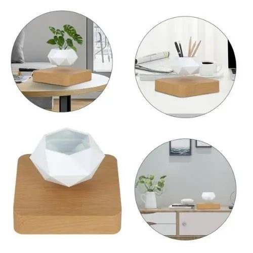Levitating Flower Pot TrendoraXentrix