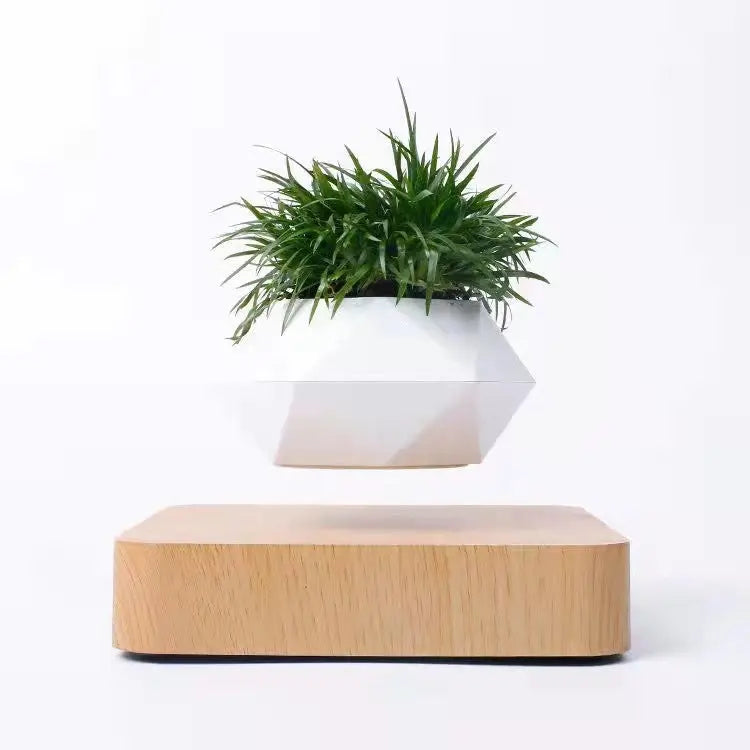 Levitating Flower Pot TrendoraXentrix